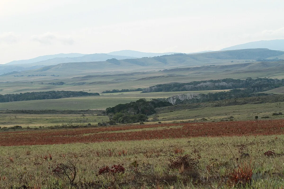 Lejanías, Meta, Colombia